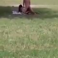 Crazy White European Couple Caught Having Sex On A Field In Public (18+)