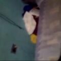 VIDEO: She can fuck anything dick